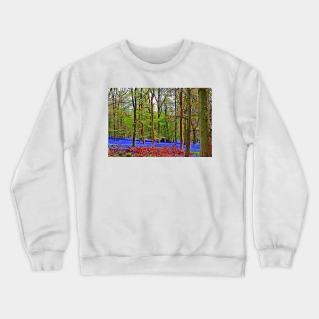 Bluebell Woods Greys Court Oxfordshire England UK Crewneck Sweatshirt by AndyEvansPhotos